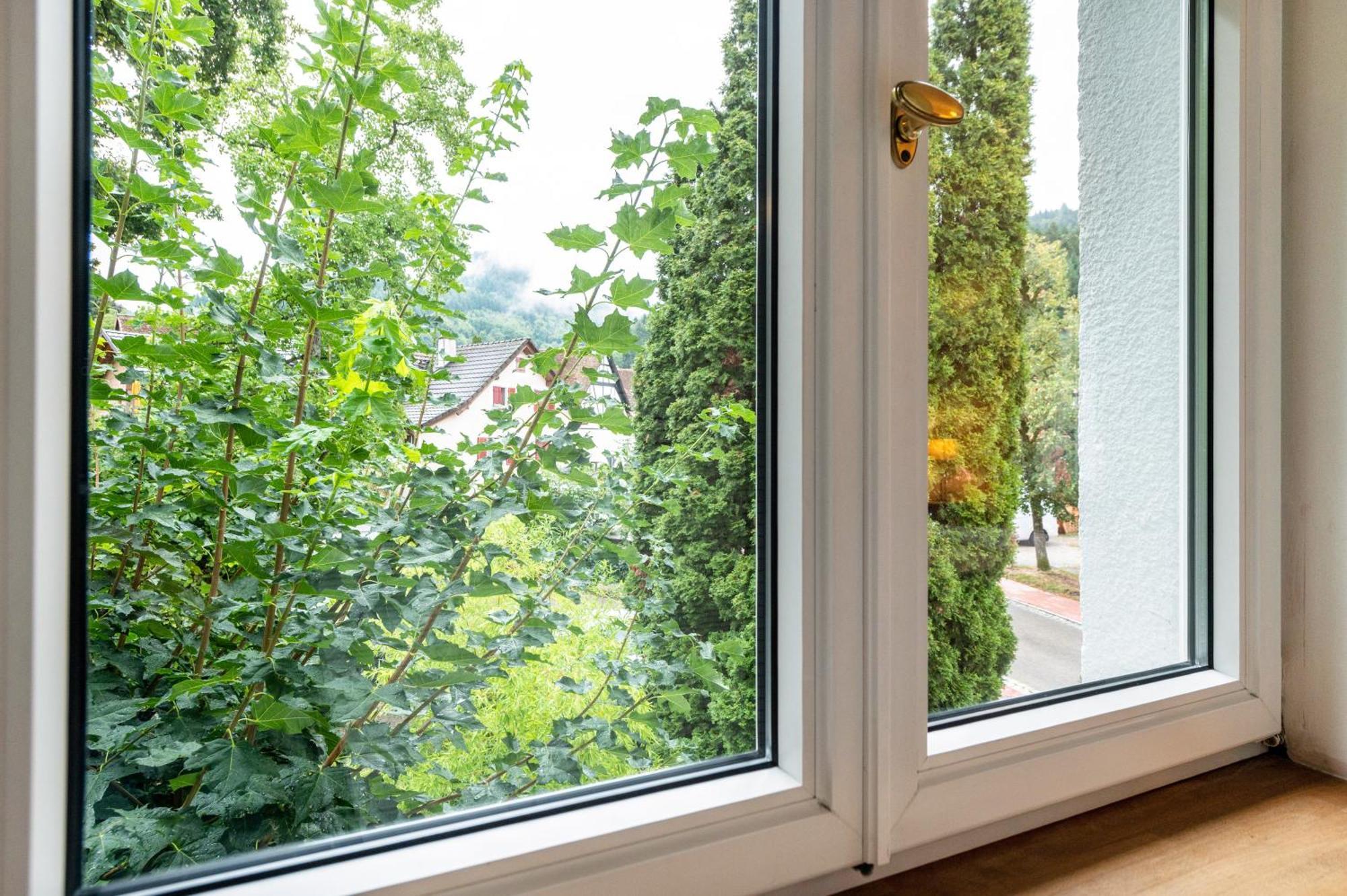 Appartement Waldhorn Μπάντενβαϊλερ Εξωτερικό φωτογραφία